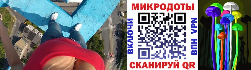 Галлюциногенные грибы мухоморы  Приозерск 